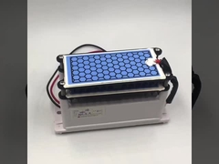 الشركة المصنعة شهادة CE مولد أوزون جديد 10g صفيحة سيراميكية مزدوجة الطول العمر أجزاء الأوزون